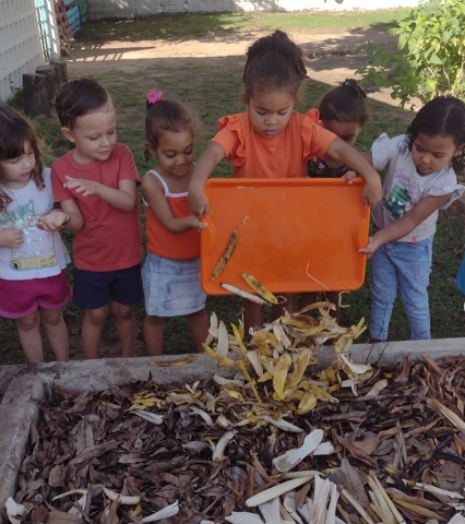 Creche Menino Jesus é reconhecida com prêmio nacional por práticas inovadoras em educação ambiental