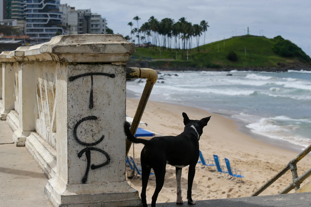 Disputa entre facções na Barra expõe pontos turísticos ao controle do crime organizado