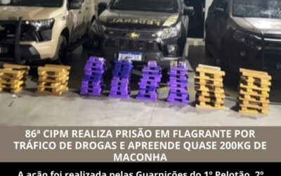 Riachão das Neves: Polícia Militar faz apreensão de grande quantidade de drogas em abordagem a veículo na BR-135