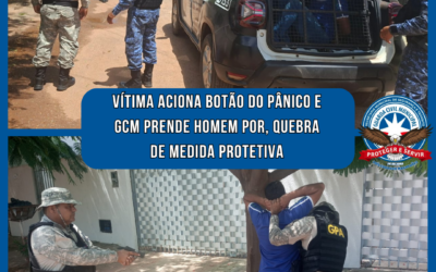 Resposta rápida que salva vidas: GCM age em minutos e prende suspeito em LEM
