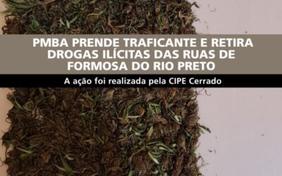 PMBA RETIRA DROGAS ILEGAIS DAS RUAS DE FORMOSA DO RIO PRETO