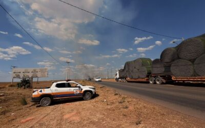 Defesa Civil registra atendimentos e ações preventivas entre 02 e 09 de agosto